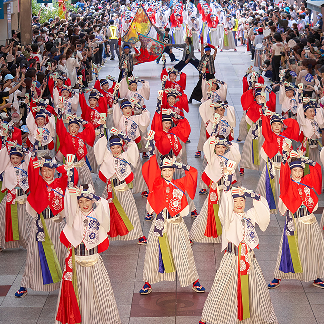 祭り画像高知よさこい祭り