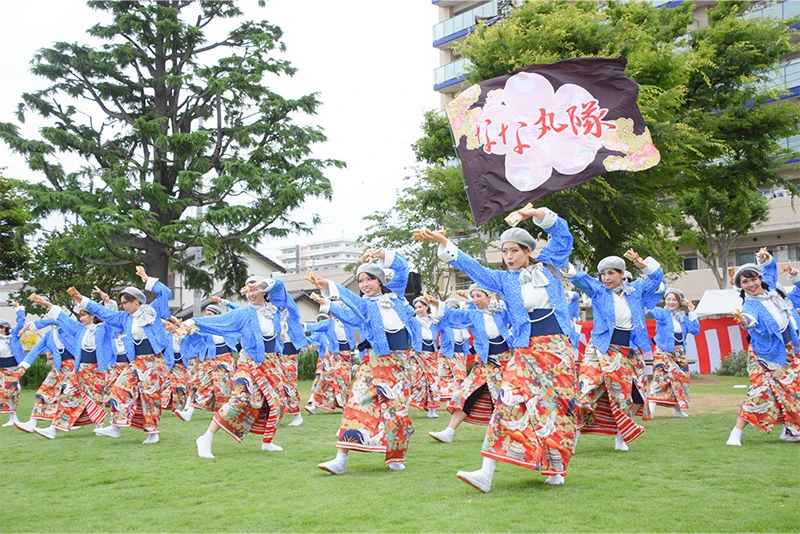 東京よさこい なな丸隊