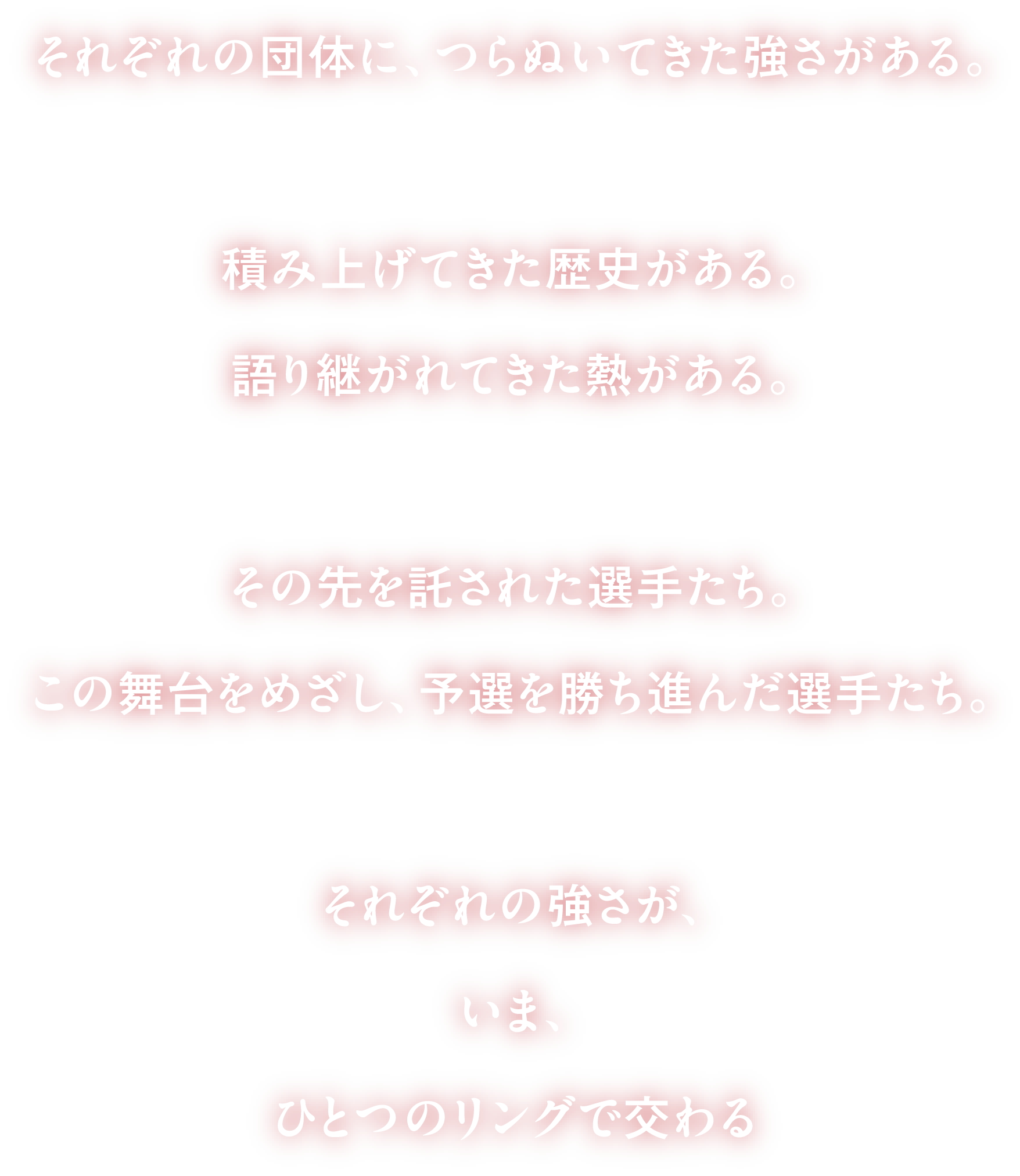 NKB日本キックボクシング連盟 ジャパンキックボクシング協会 SHOOT BOXING 新日本キックボクシング協会 SUK WAN KINGTHONG
