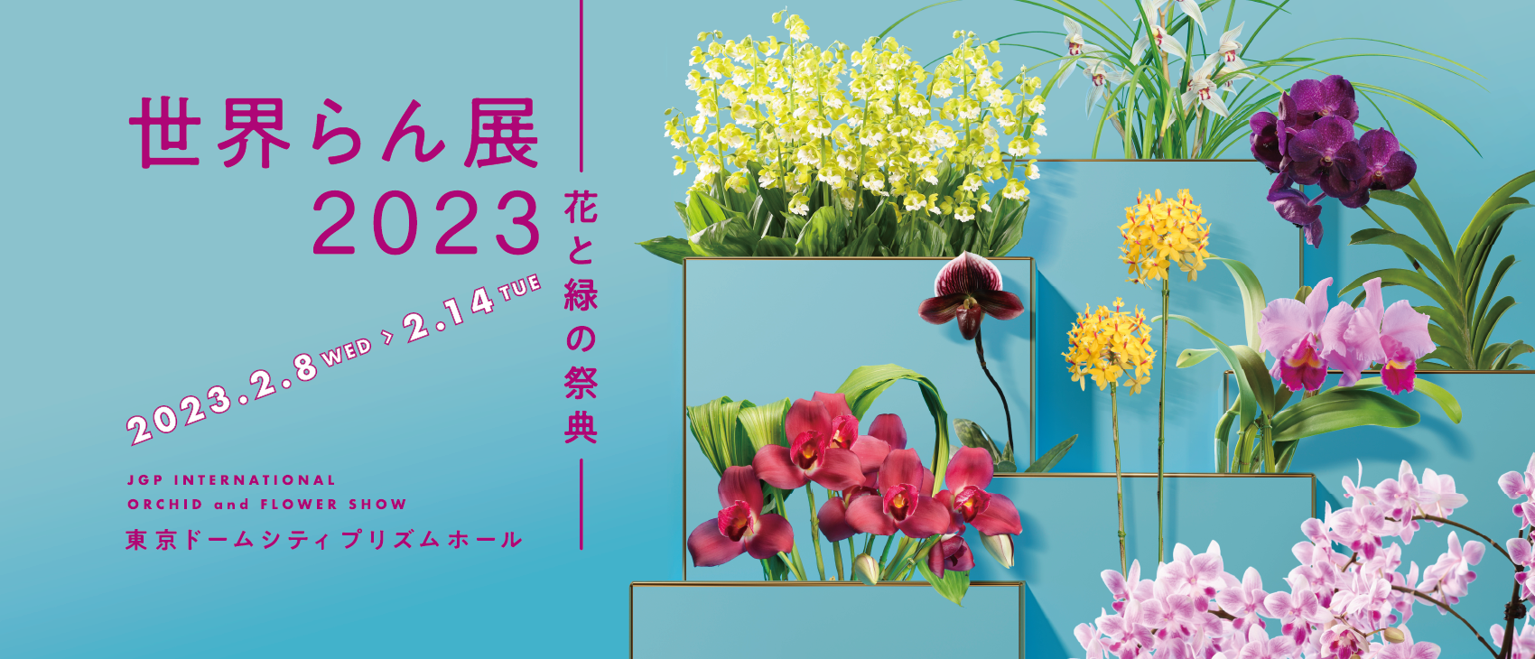 世界らん展2023  —花と緑の祭典—