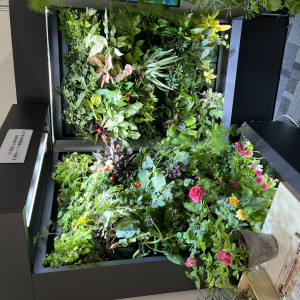 ＬＥＤ照明付き垂直水耕栽培施設の画像