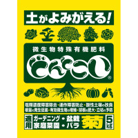 どんとこい