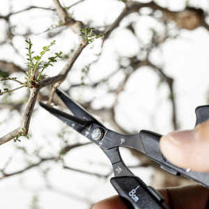 PLANTS SCISSORS 【short】【straight】の画像