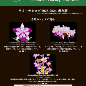 弊社ウェブページにリスト公開しております！ご来場前に是非一度ご覧ください！の画像