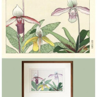 谷上廣南 木版画 シプリベジュームシート¥11,000額装15,000