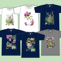 らんTシャツ白2750紺3500