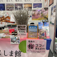 東海桜