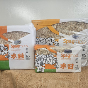 ニュージーランド産水苔の画像