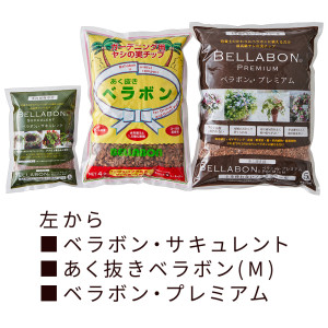 ベラボン　（株）フジック