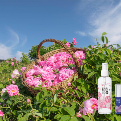 株式会社ニューニチブ