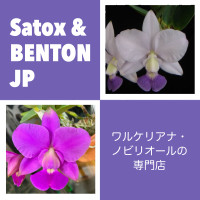 有限会社BENTON
