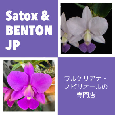 有限会社BENTON