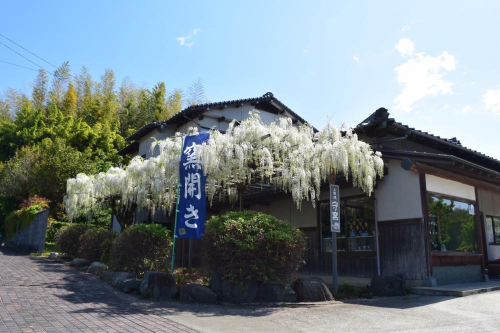 出展者
