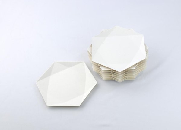 六角中皿　50枚入