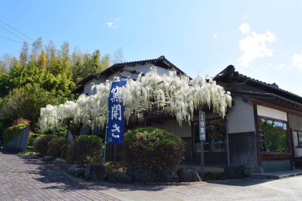 福岡県　上野焼　守窯
